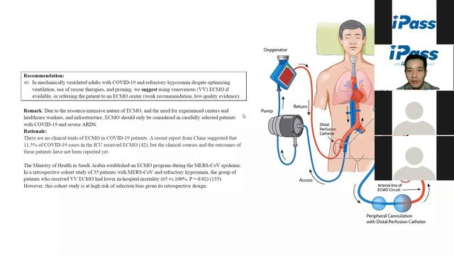 SURVIVING SEPSIS CAMPAIGN:AN UPDATE, INCLUDING COVID19 смотреть онлайн