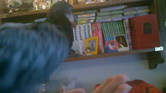 14052011015 смотреть онлайн