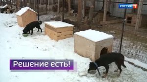 Реклама, часы и начало "Вести в субботу" с Сергеем Брилёвым (Россия 1 +5 , 27.02.2021)