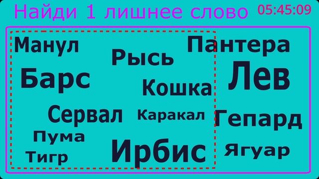 Тест на знание семейства кошачьих + логику смотреть онлайн