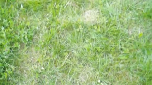 Daudzfunkcionāls mājas kombains 4. variants смотреть онлайн