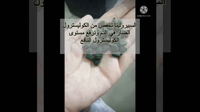 سبيرولينا dxn / فوائدها وكيفية استخدامها لزيادة الوزن أو إنقاصه смотреть онлайн