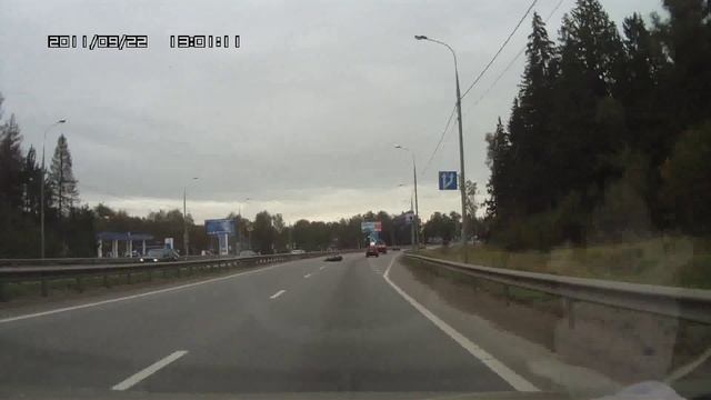 Лось на Дмитровском шоссе смотреть онлайн