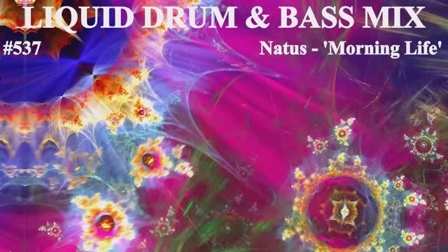 Liquid Drum And Bass Mix 537