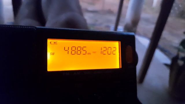 Rádio Clube do Pará - 4885 khz - Ondas tropicais смотреть онлайн