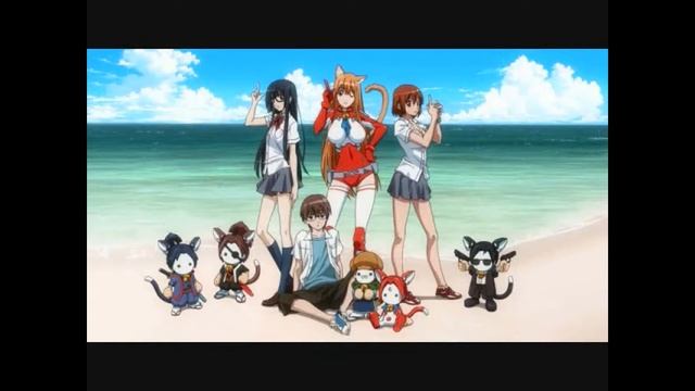 Cat Planet Cuties смотреть онлайн
