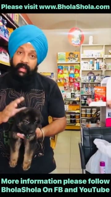 ये गलती कभी ना करें 🙏 #germanshepred #dog #shorts #trending #viral #doglover #ticks #baths #puppy смотреть онлайн