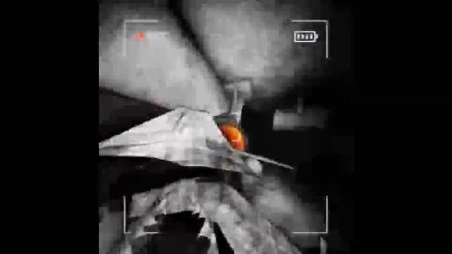 ПОТЕРЯННАЯ КАССЕТА ТУРИСТОВ (Content Warning) смотреть онлайн