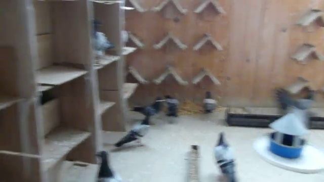 Выводной Сезон Часть 2 смотреть онлайн