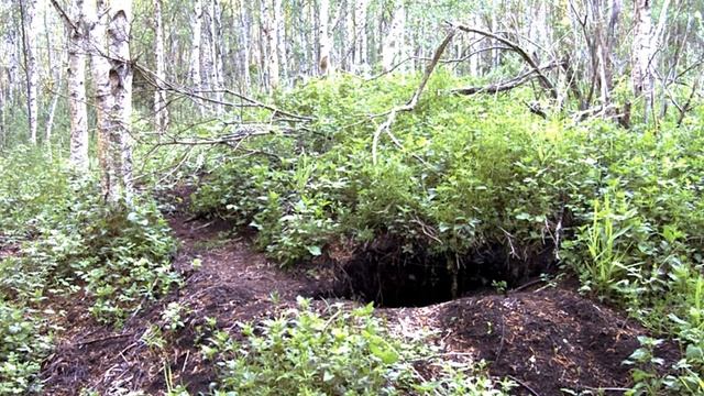 Барсук 26 мая 2014 г 21-02 смотреть онлайн