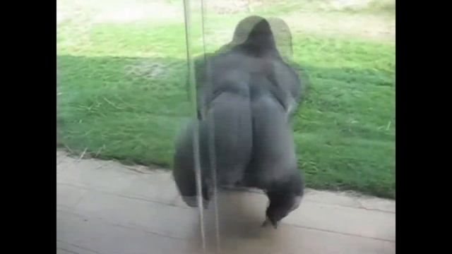 бикоз ам хепи смотреть онлайн