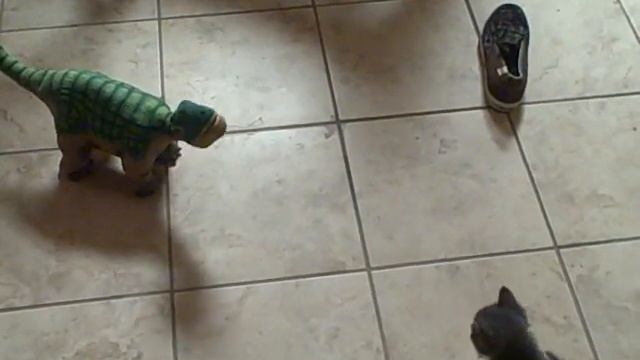 Surprised Kitty vs. Pleo the robot dinosaur! смотреть онлайн