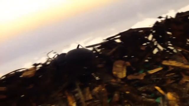 En Bille смотреть онлайн