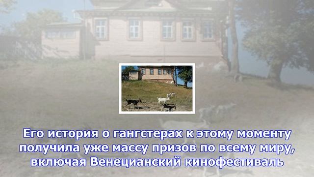 Невезучий гений. остров проклятых «оскаров» мартина скорсезе смотреть онлайн
