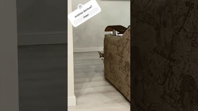 КТО ЖЕ ОН ??? #2023 @sofiamartemyanova смотреть онлайн