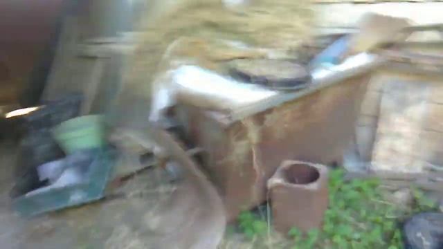 Vlog 2 селскостопански животни смотреть онлайн