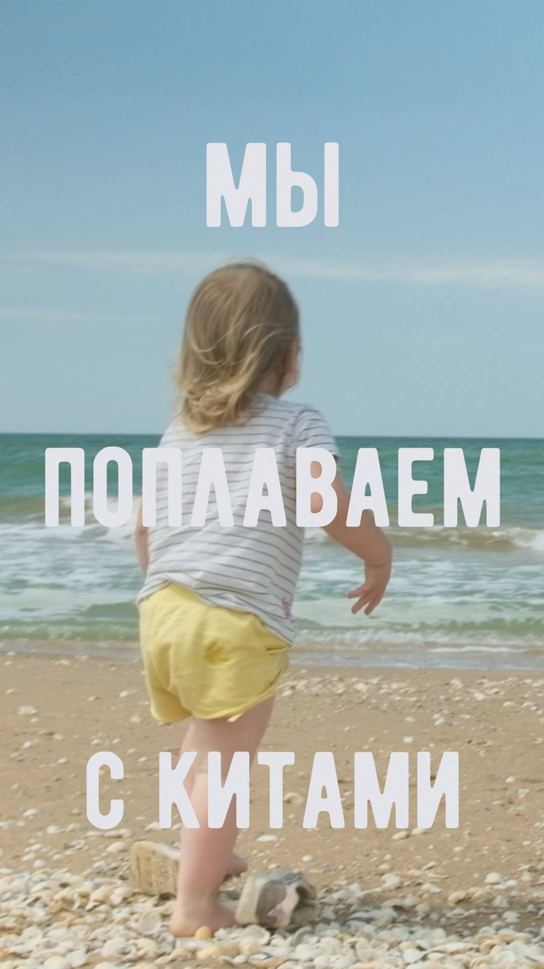 Мы поплаваем с китами