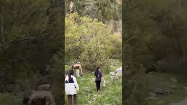 Сайрам-Өгем Мемлекеттік Ұлттық Табиғи Паркі мен Шымкент университетінің білім алушылары смотреть онлайн