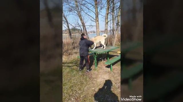 Преодоление нестандартных препятствий. смотреть онлайн