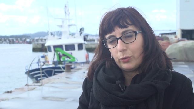 Porto de Cambados. Recogida y procesado de la vieira. смотреть онлайн