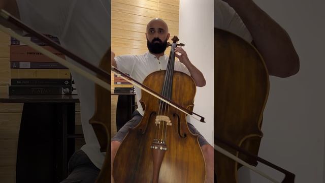 The Swan — Camille Saint-Saëns (with piano accompaniment) смотреть онлайн