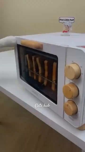 Show me the cooking hack! #shorts #hacks #cooking #catsoftiktok #thatlittlepuff #funny смотреть онлайн