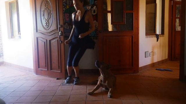 Учусь прыгать. Персик помогает. смотреть онлайн