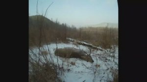 РЕАЛЬНАЯ ОХОТА НА СИБИРСКУЮ КОСУЛЮ