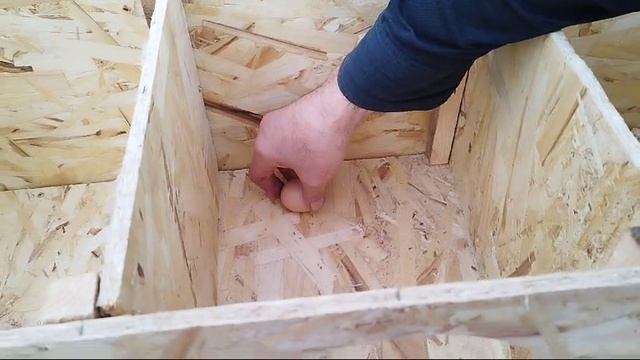 Гнездо для кур с яйцесборником смотреть онлайн