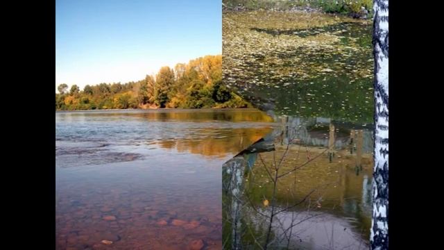 Осенний коктейль смотреть онлайн