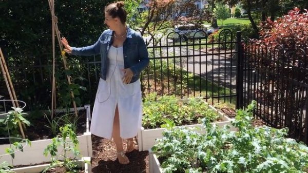 🌳 Garden Tour ~ Woodland Garden ~ Y Garden 🌳