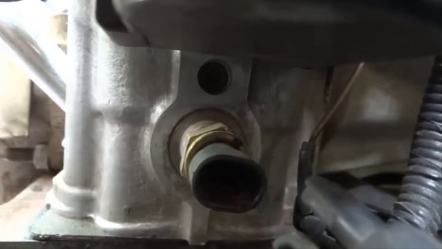 Sensor de Temperatura ETC смотреть онлайн