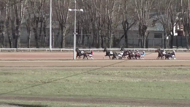Московский ипподром. Бега. 09.04.17. Заезд 9(156) смотреть онлайн