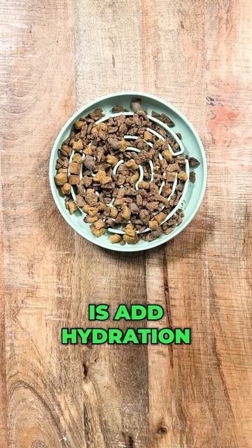 Use code BKPETS for 20% off all @yummerspets products! 💙🐾 #thebkpets #yummerspets #yummerspartner смотреть онлайн