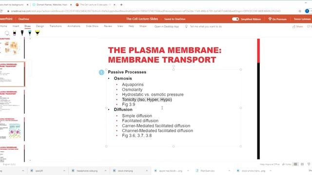 The Plasma Membrane and Organelles смотреть онлайн