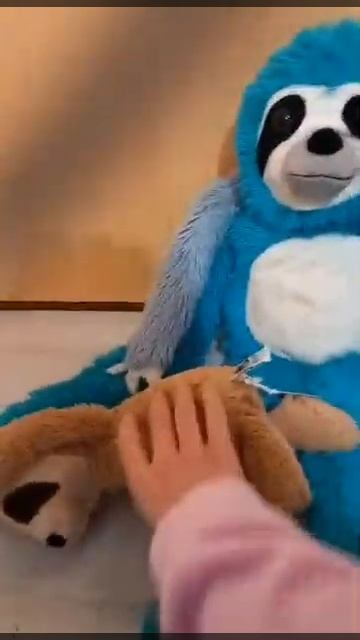 Funny sloths (first time using sound) #funny #sloths смотреть онлайн