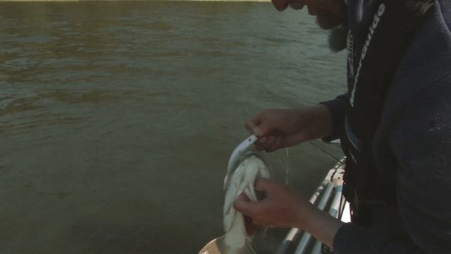 Heittojigaus - Kalastus², jakso 7 смотреть онлайн