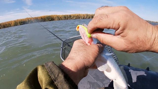 Ловля судака на водохранилище. Судак и щука на спиннинг. Ловля судака осенью. Рыбалка на ОВХ. смотреть онлайн