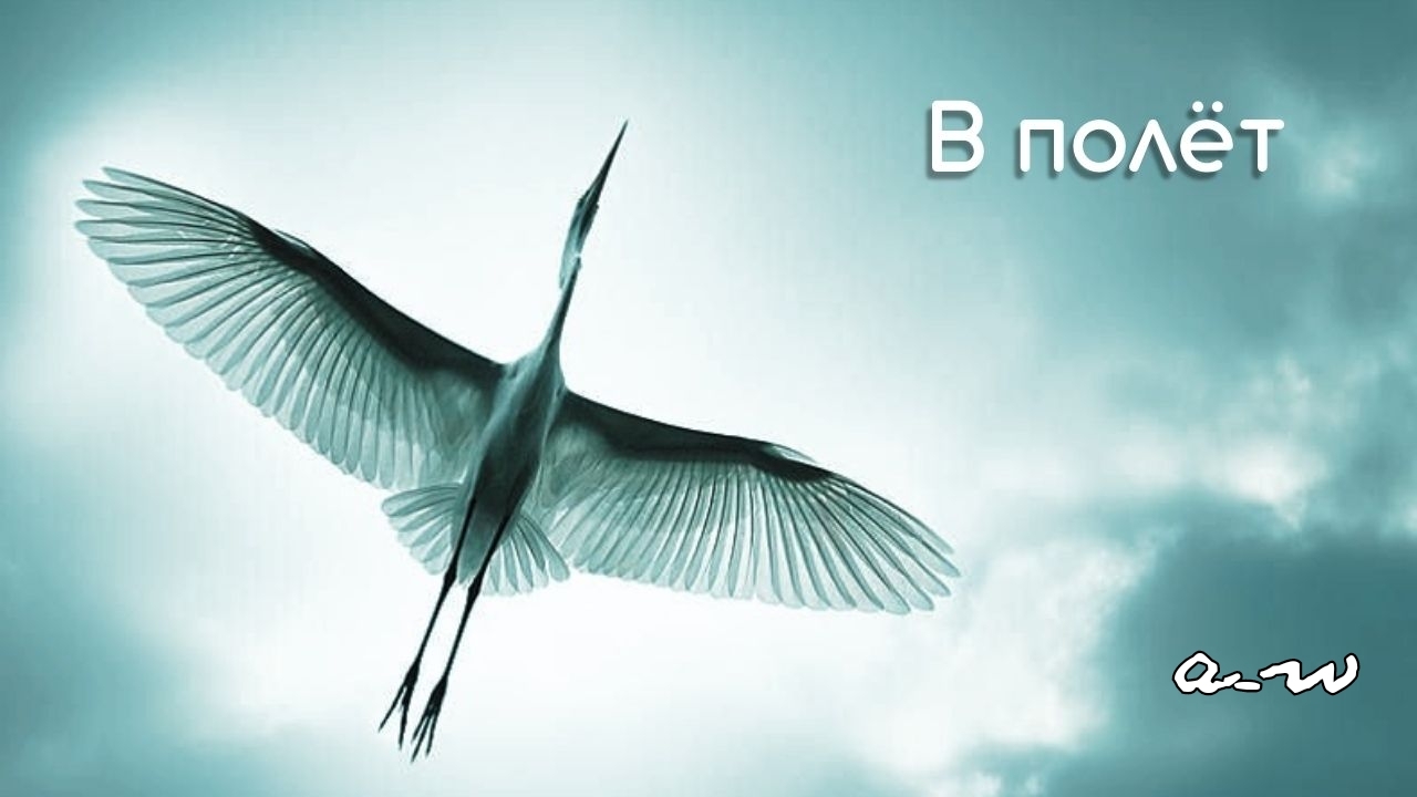 аНДРЕЙ жАБИН - В полёт смотреть онлайн