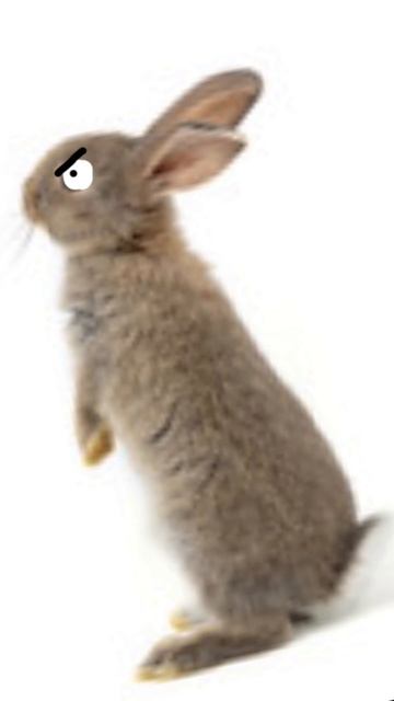 Don’t Mess With The Wabbit! смотреть онлайн