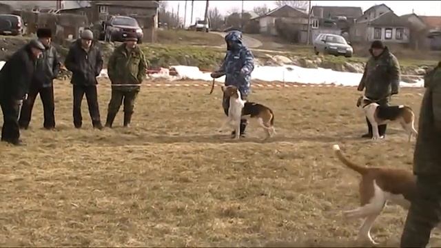 ср ринг РПГ 2 смотреть онлайн