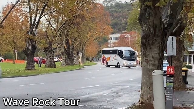 Everything I Did During My Last Month in Perth! смотреть онлайн