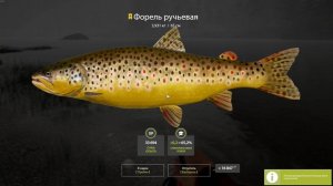 ТРОФЕЙНАЯ ФОРЕЛЬ Р.БЕЛАЯ...ТОЧКА ИМБА!!! #РР4 #русская рыбалка 4