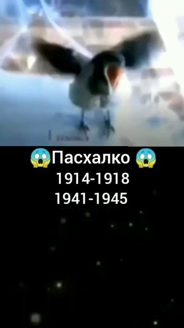 Пасхалко #пасхалко #лампочкаtvplay смотреть онлайн