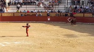 Коррида  в Испании. Июль 2024 года