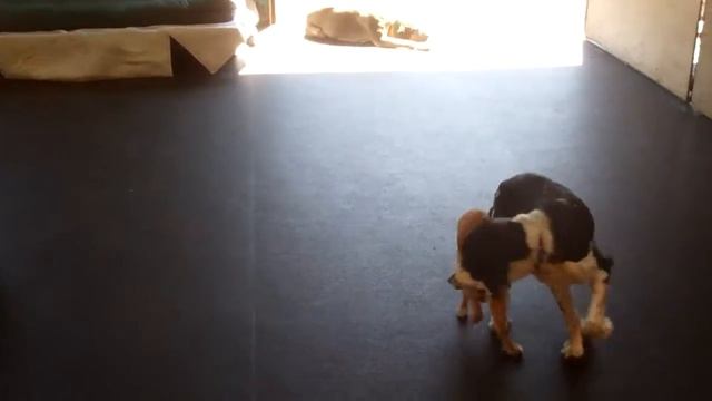 McKenna and Sadie S смотреть онлайн