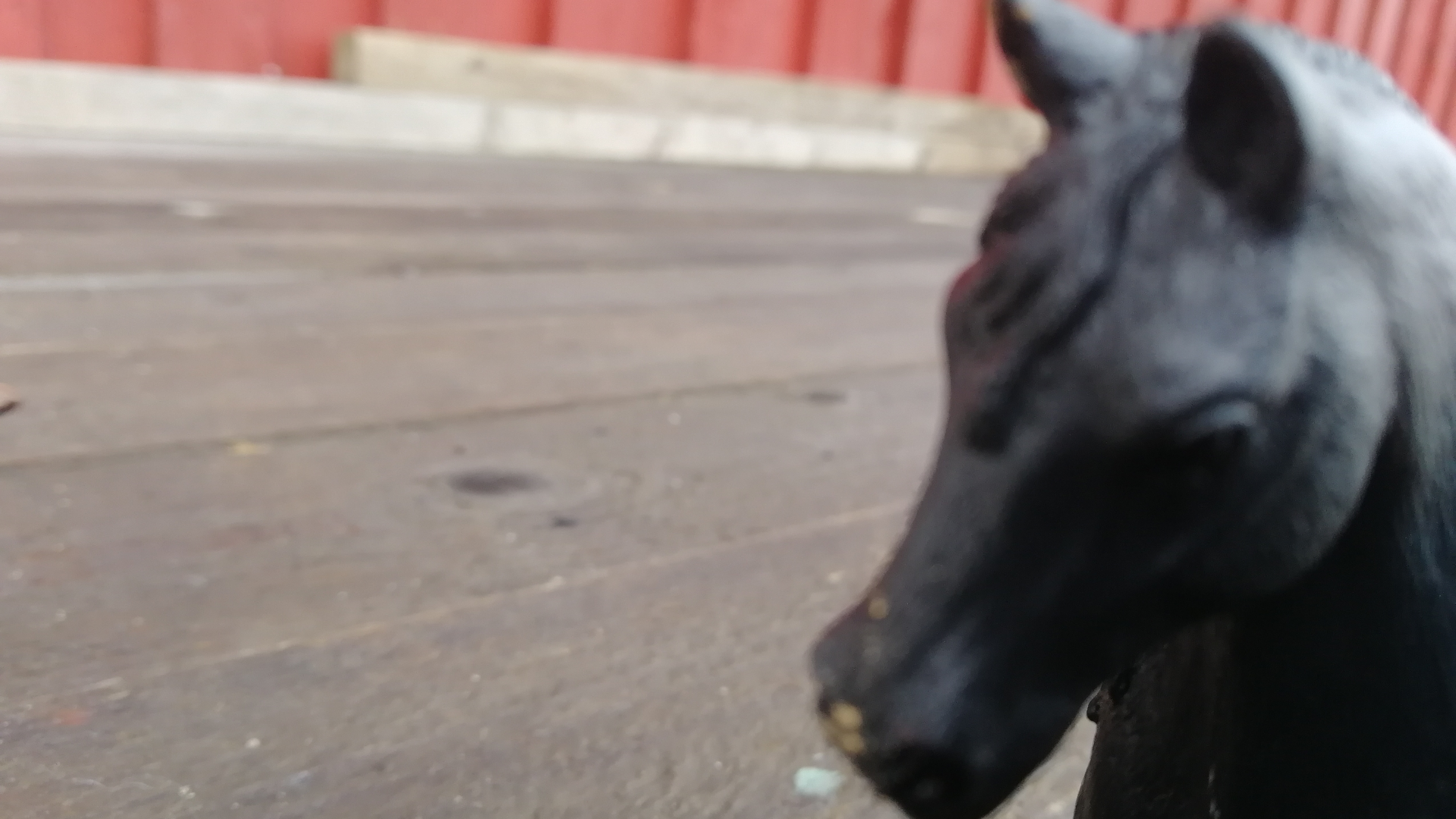 Сериал маньяк 1сезон 9серия