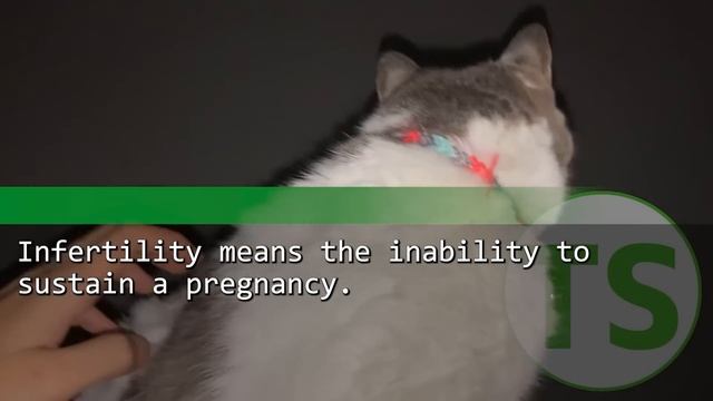 I met a woman at blind date. She blushed and came to me. I realized she was unexpected person... смотреть онлайн