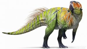 Пситакозавр - ЯЩЕР ПОПУГАЙ