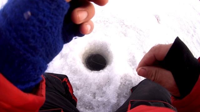 Это вам не Первый ЛЁД!!! Где же ты АКТИВНЫЙ окунь??? Окуни РВУТ мормышки!!! смотреть онлайн